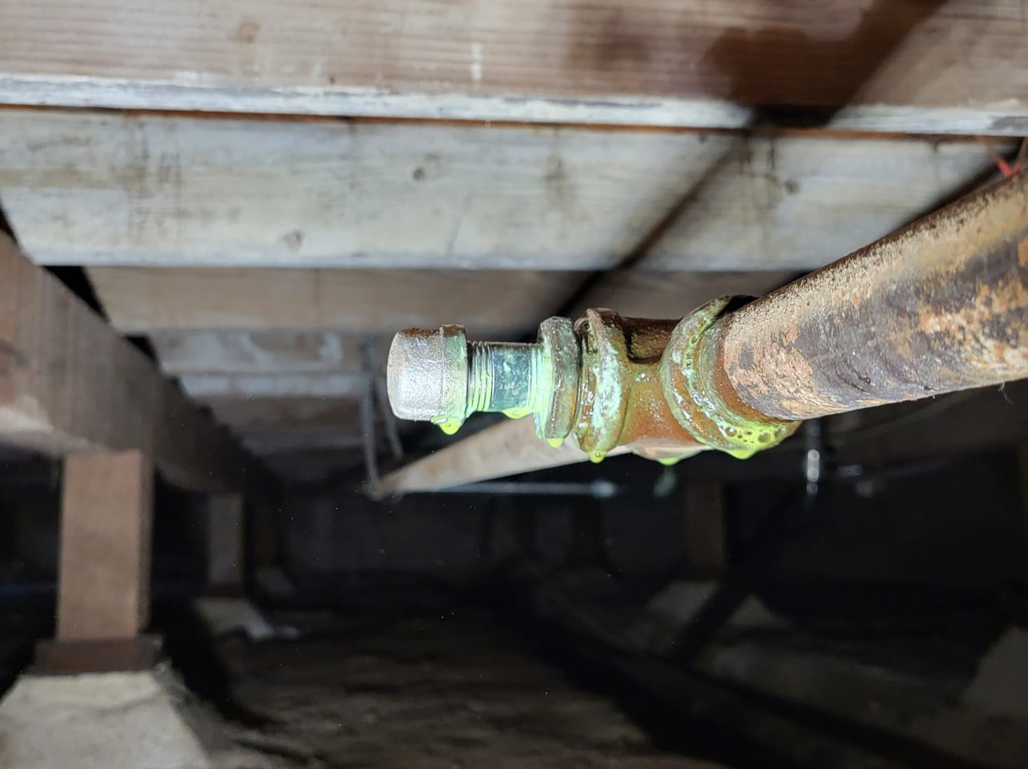 Gustavo´s Plumbing
